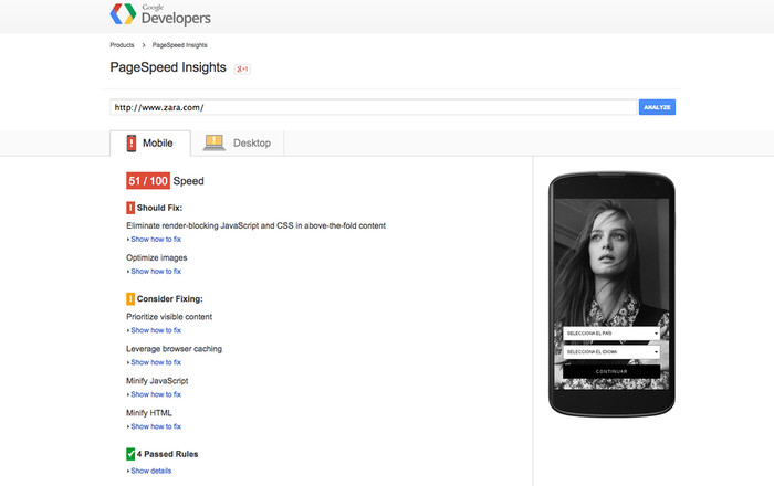 Google Site Speed Test Zara Example detail