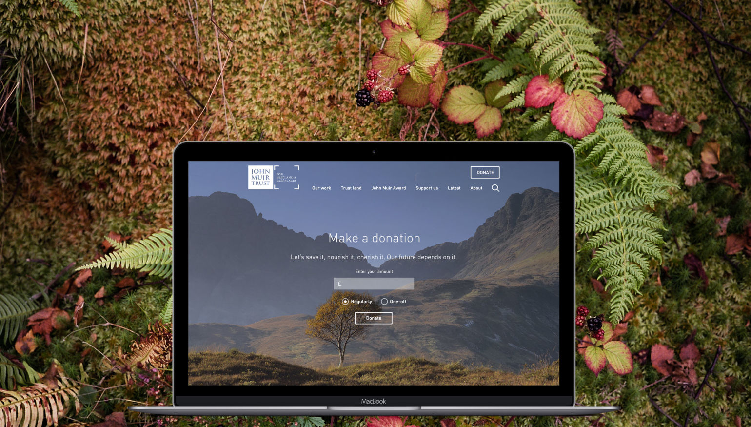 JMT Macbook