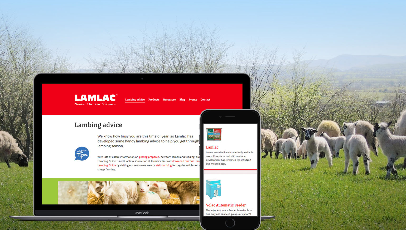 Ti Lamlac Case Study 01