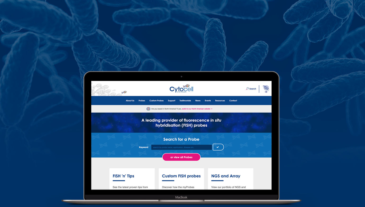Cytocell Case Study